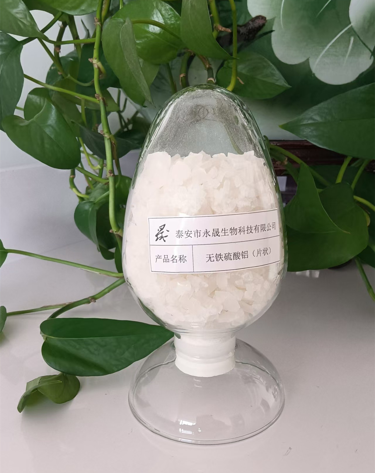 高白硫酸铝生产厂家促发展 铸品质高白硫酸铝厂家