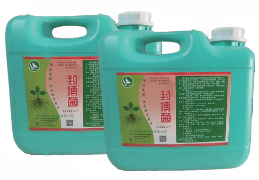 低温唤醒菌