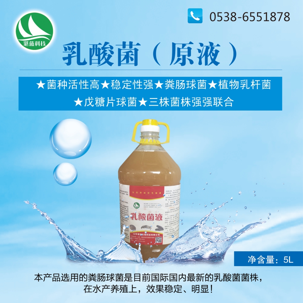 乳酸菌（原液）