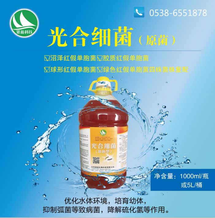 光合细菌（原菌）