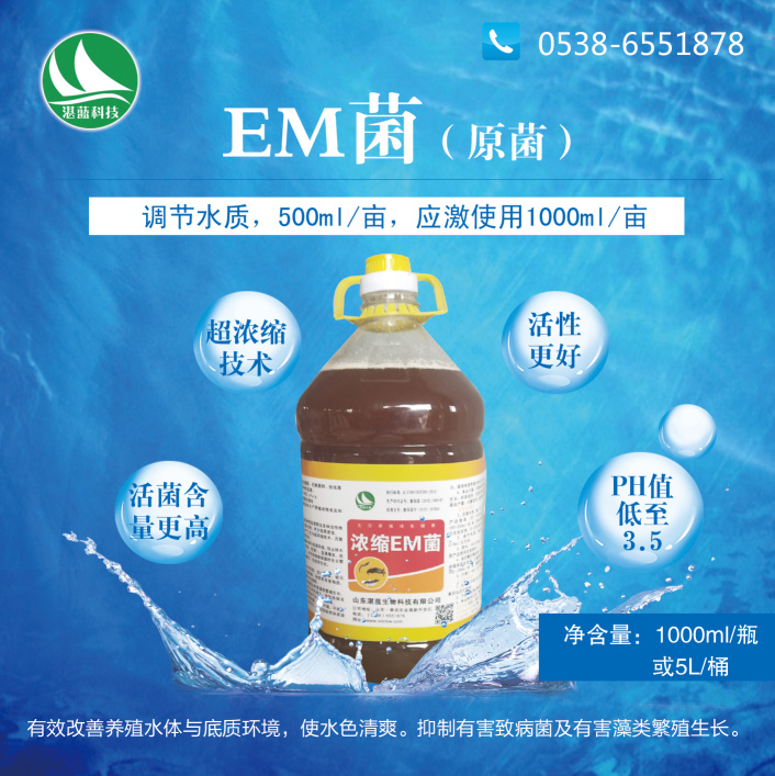 EM菌（原菌）