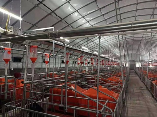 猪场设备厂家 猪场设备厂家