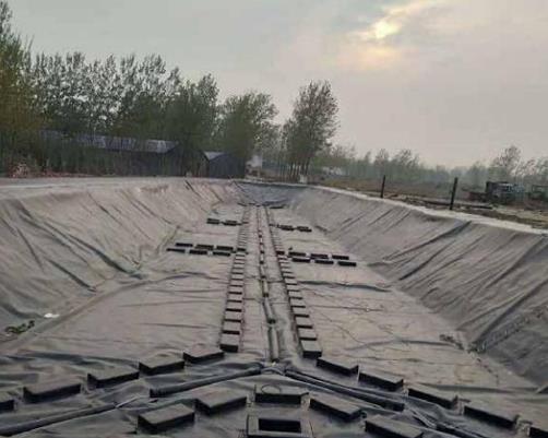 Landfill—1.0mm Geomembrane
