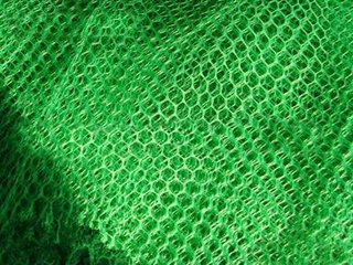 ��άֲ����