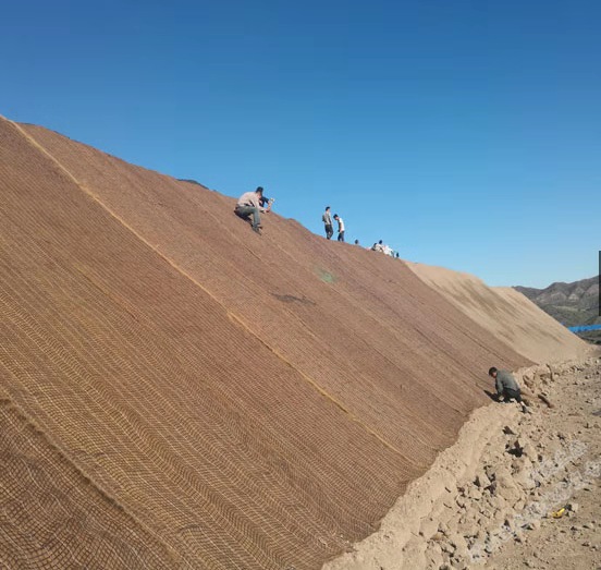 ������̺