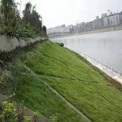 ������̺