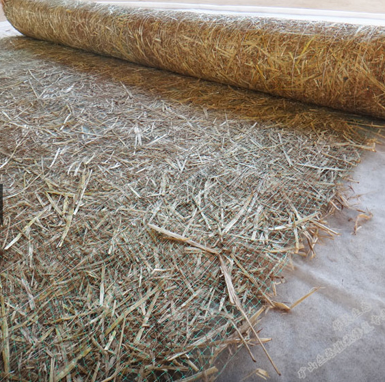 ������̺