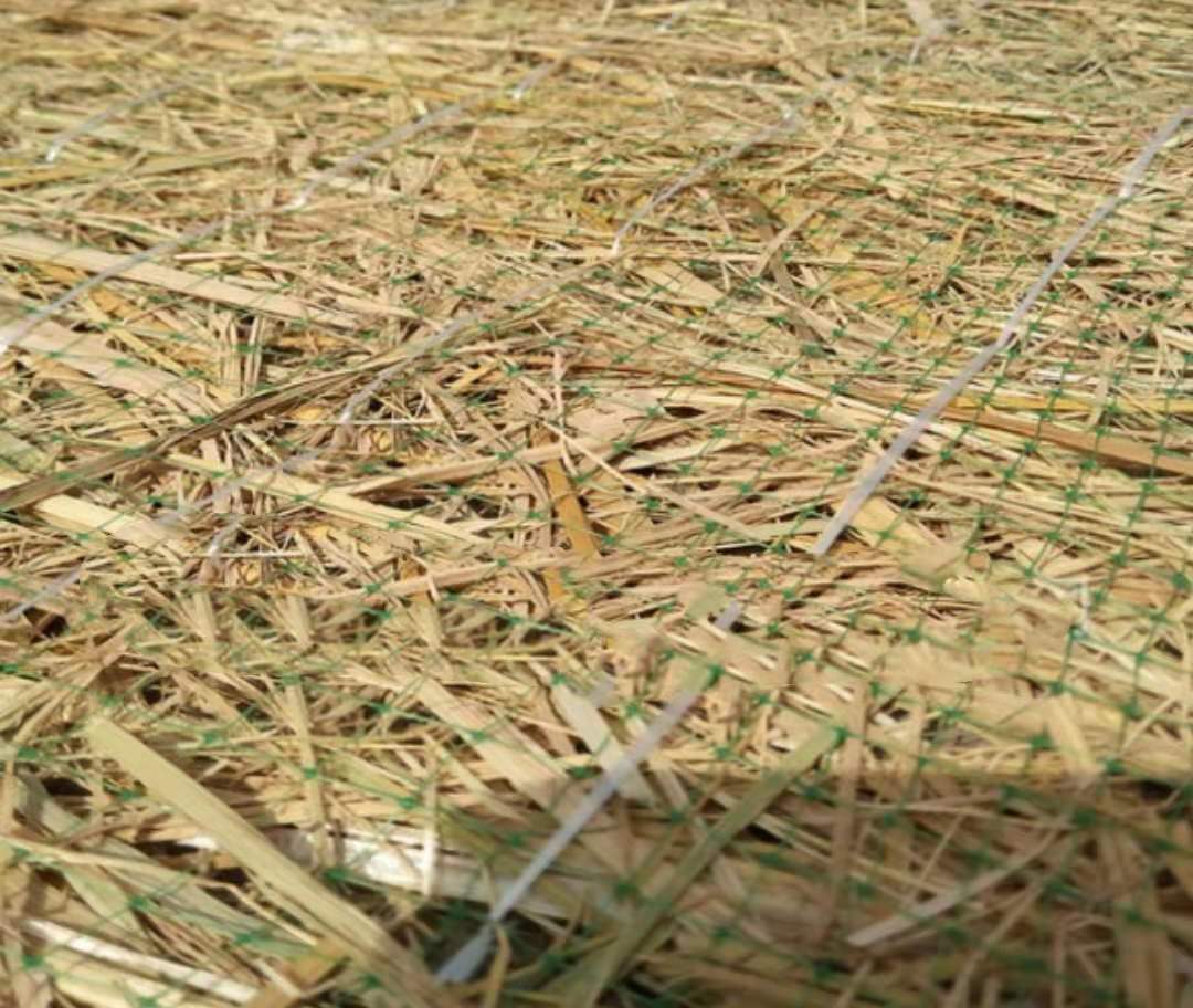 ������̺