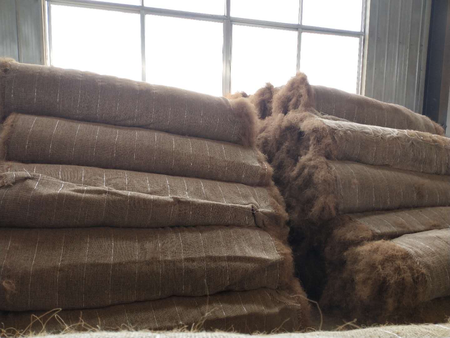 ��Ҭ����̺