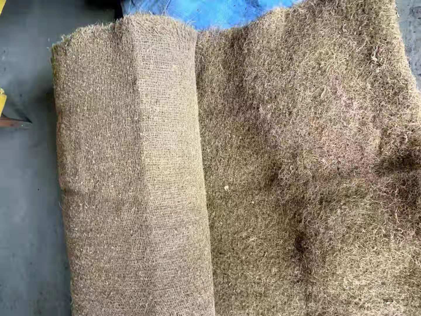 ��Ҭ����̺