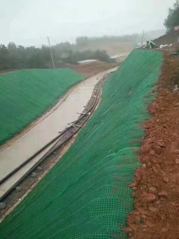 ��������̺