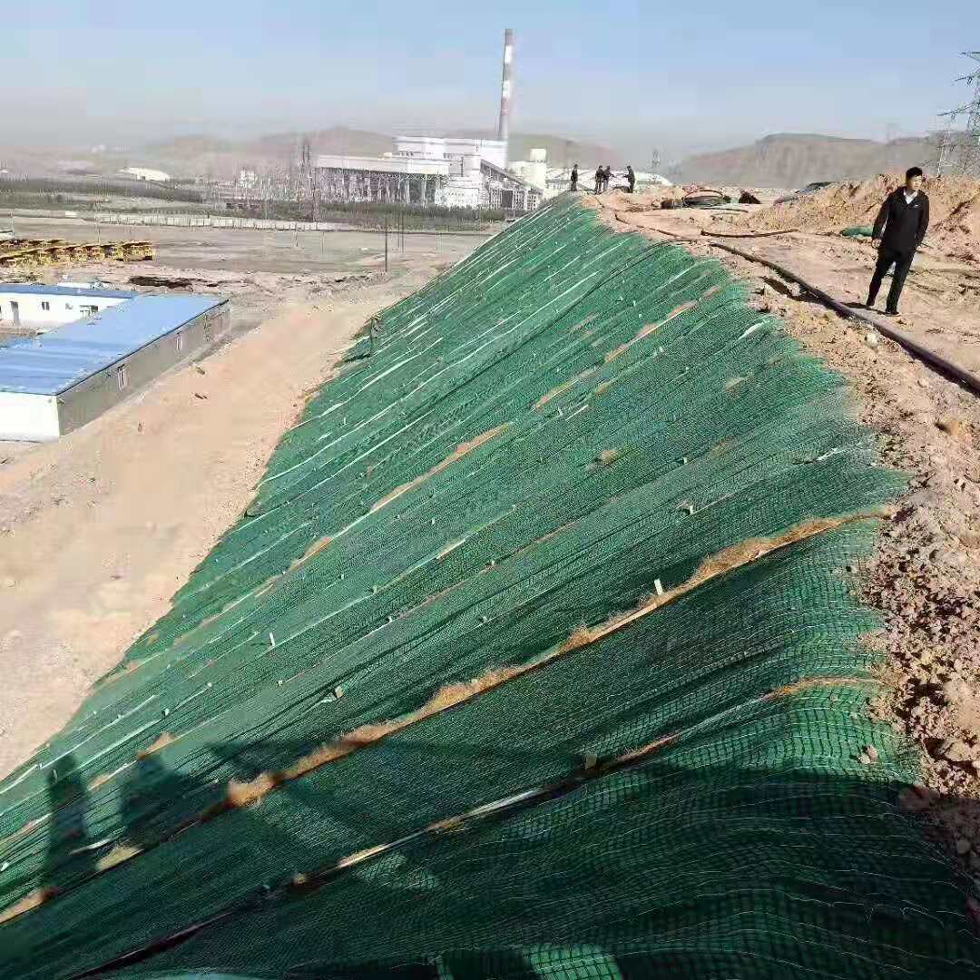 ��������̺