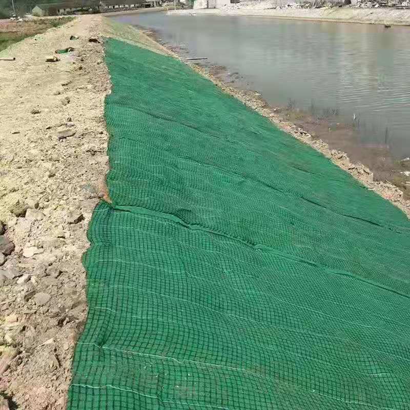 ��������̺