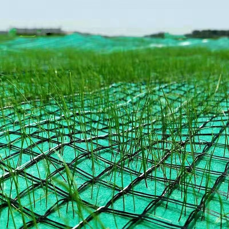 ��������̺