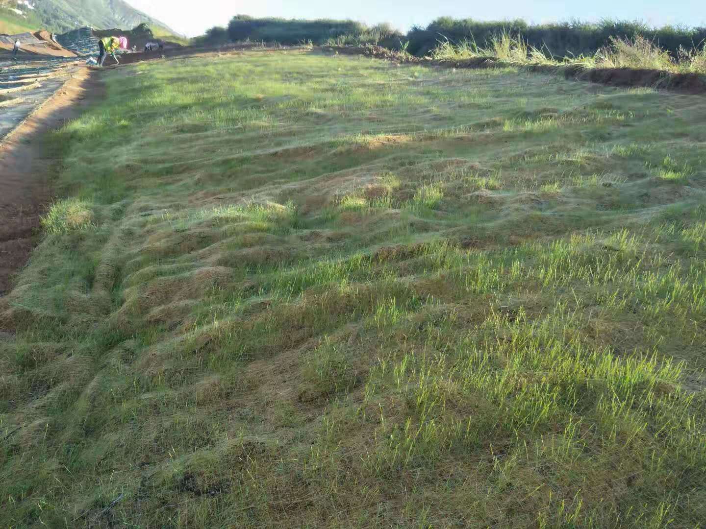 ��������̺