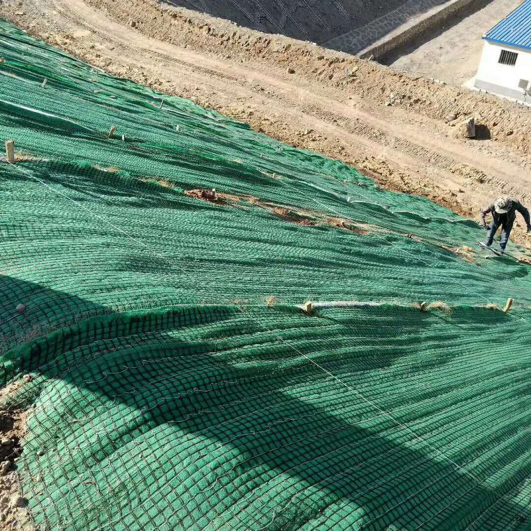 ��������̺