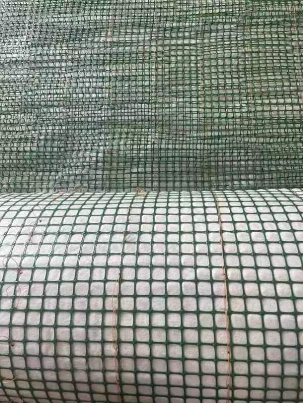 ˮ������̺����̬���壩