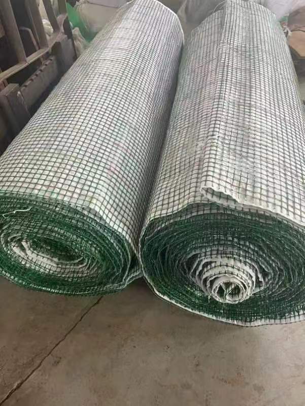 ˮ������̺����̬���壩