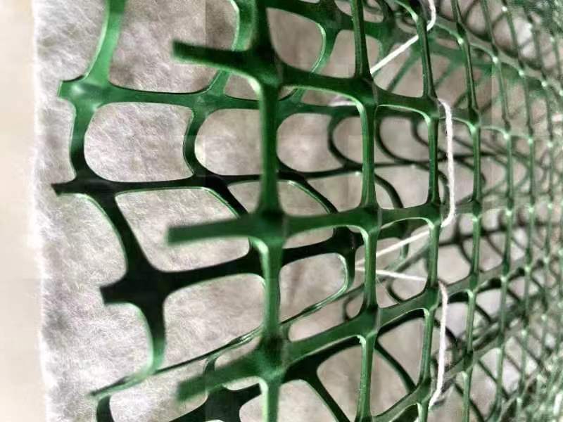 ˮ������̺����̬���壩