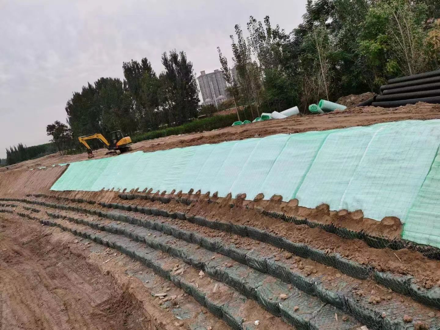 ˮ������̺����̬���壩