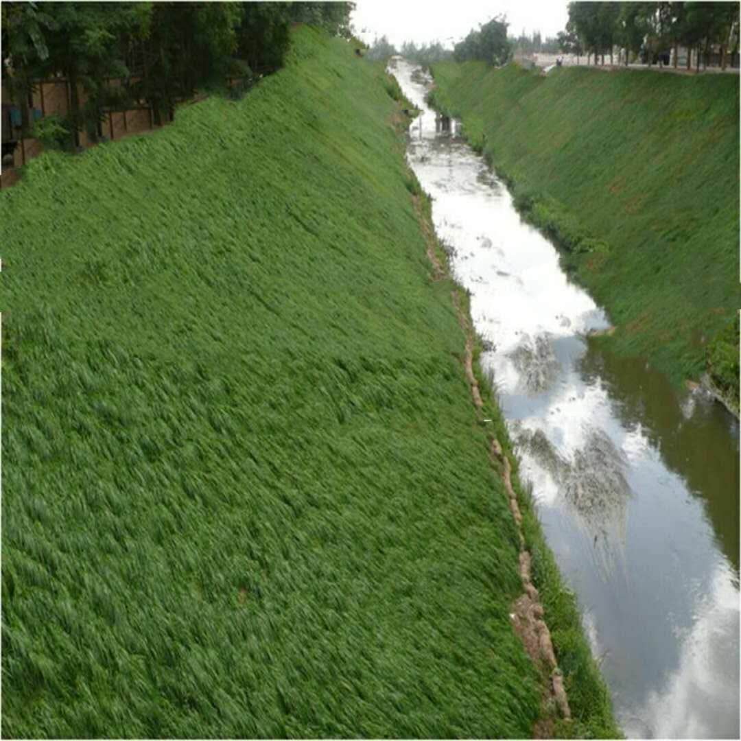 ��������̺