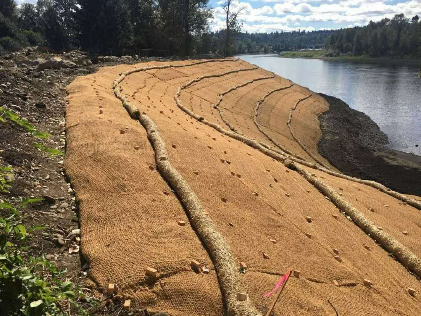 ��������̺