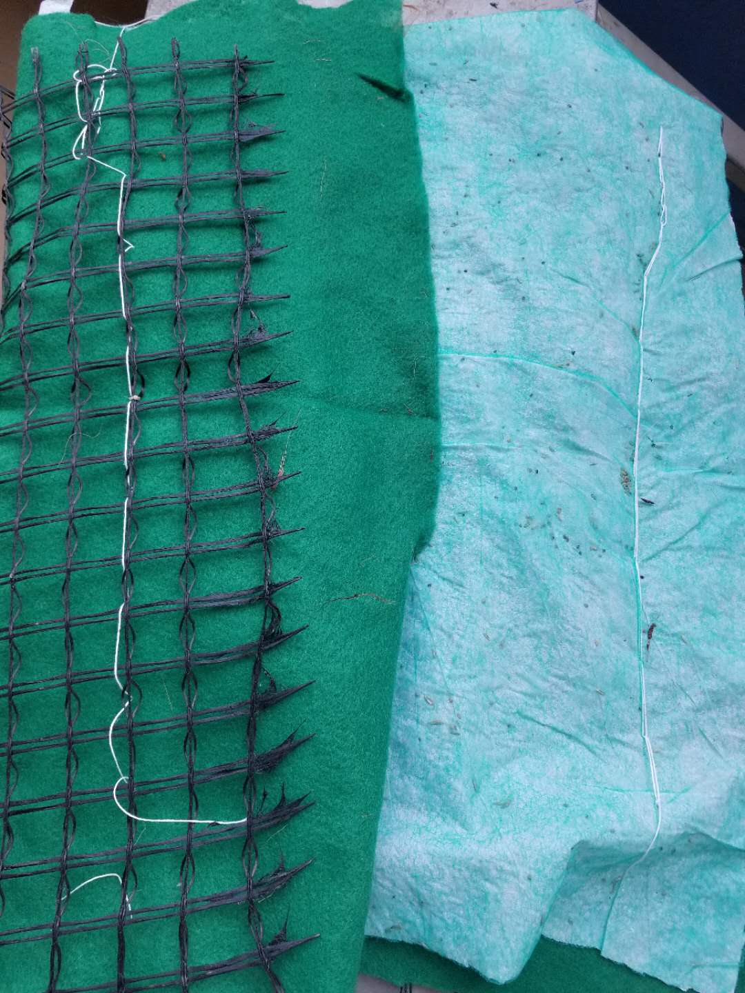 ������Ҭ˿̺