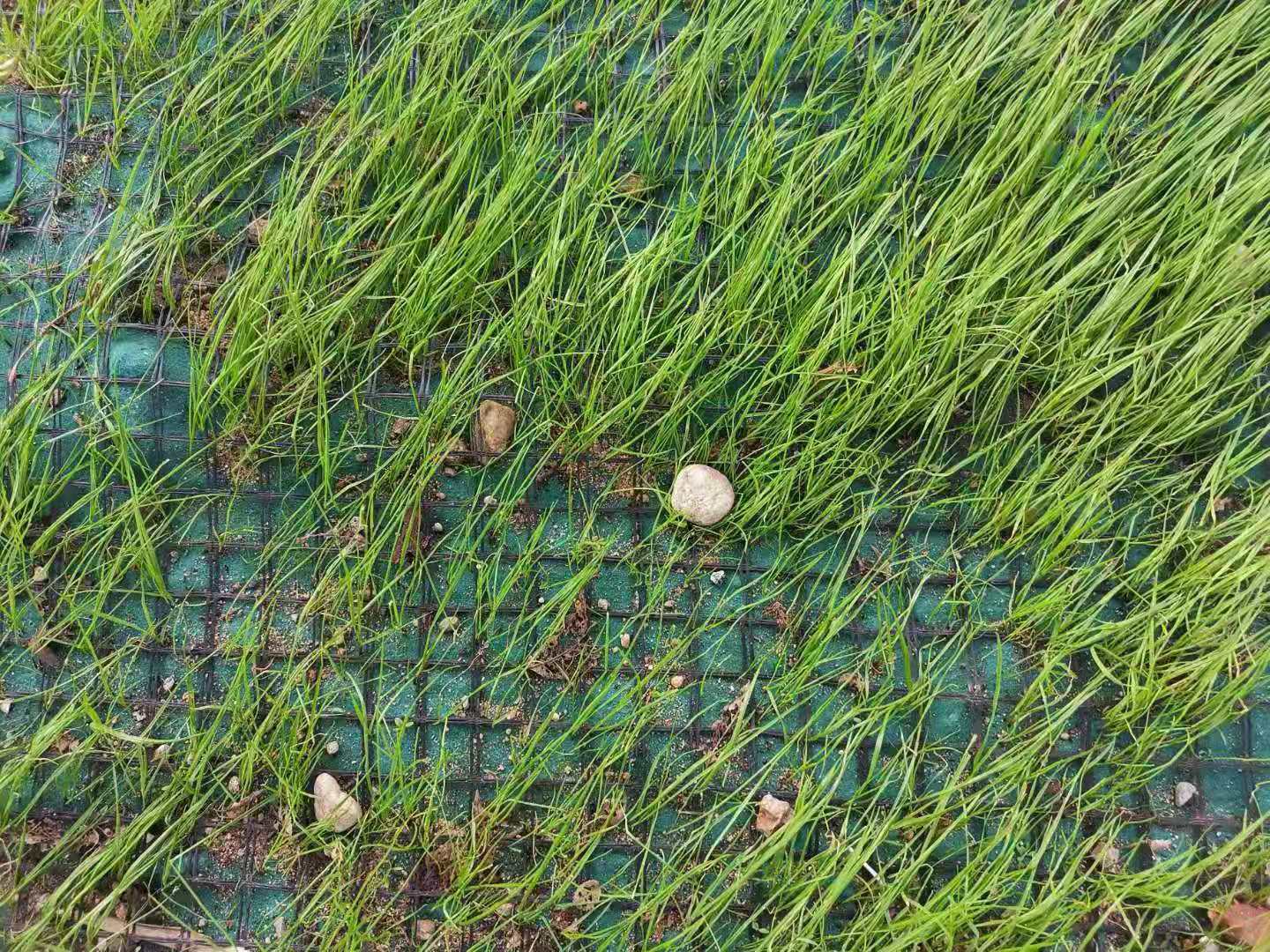 ��������̺