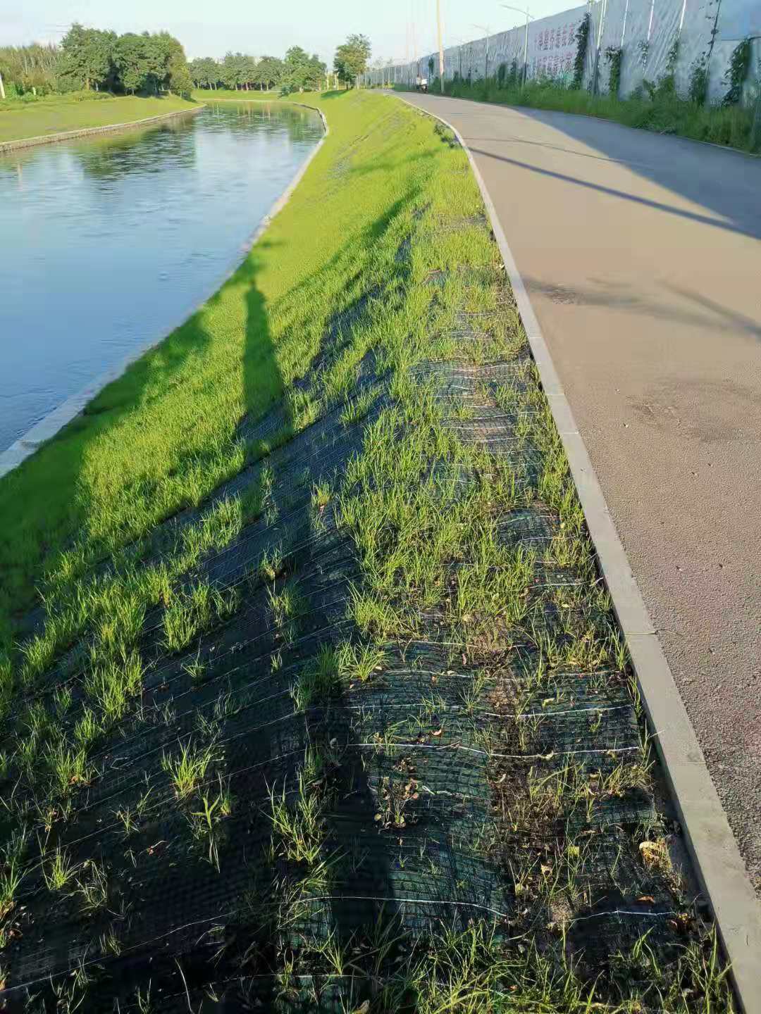 ��������̺