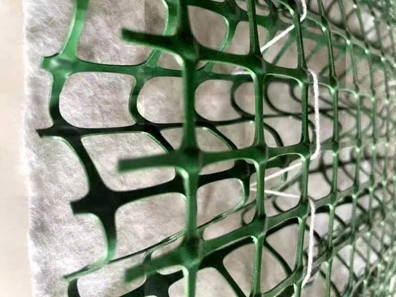 ˮ������̺����̬���壩