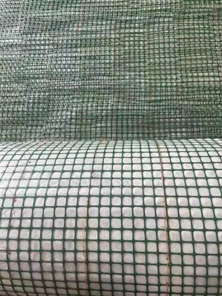 ˮ������̺����̬����