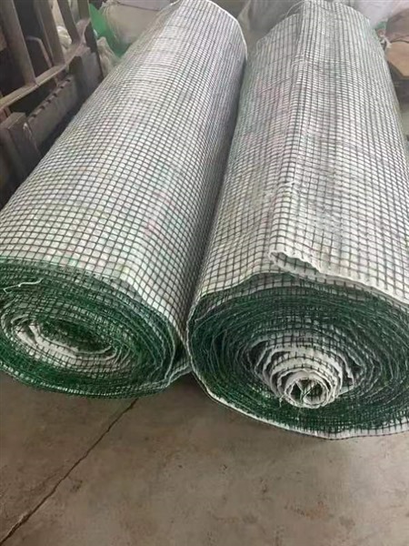 ˮ������̺����̬����